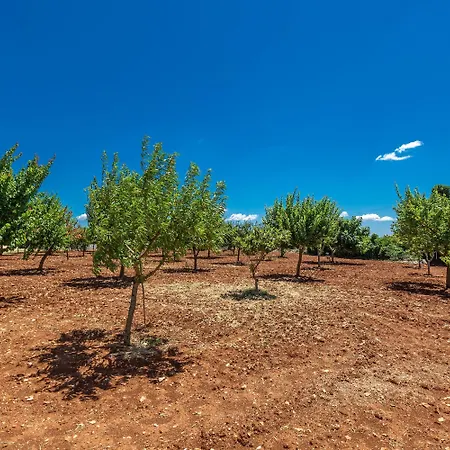 Masseria Luigi Flora Ceglie Messapica